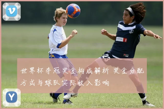 世界杯夺冠奖金构成解析 奖金分配方式与球队实际收入影响