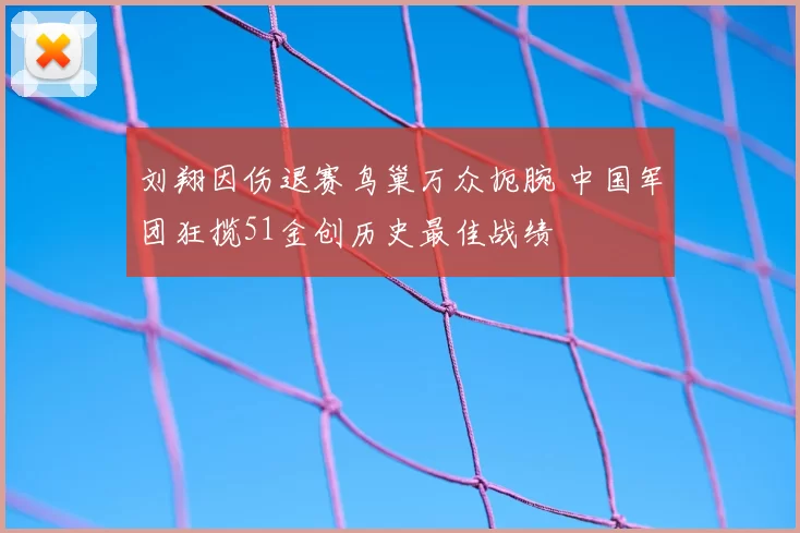 刘翔因伤退赛鸟巢万众扼腕 中国军团狂揽51金创历史最佳战绩