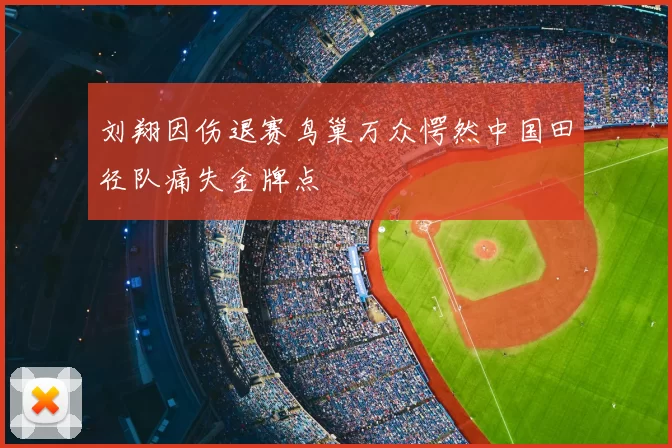 刘翔因伤退赛鸟巢万众愕然中国田径队痛失金牌点