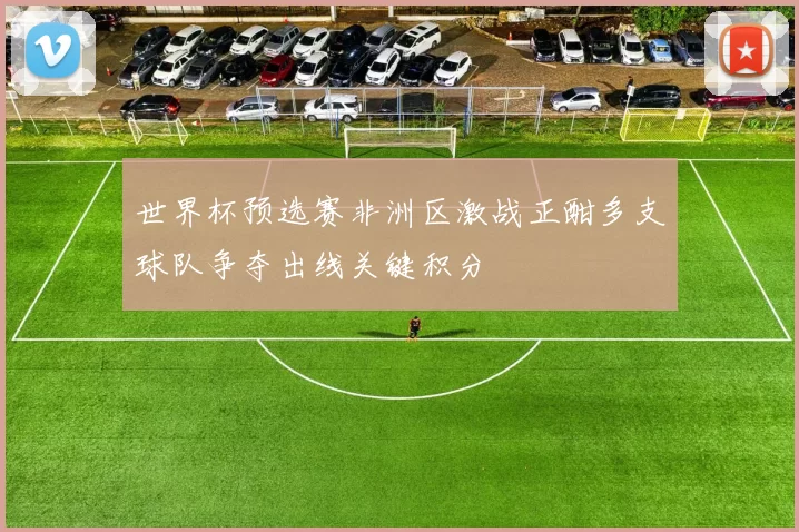 世界杯预选赛非洲区激战正酣多支球队争夺出线关键积分