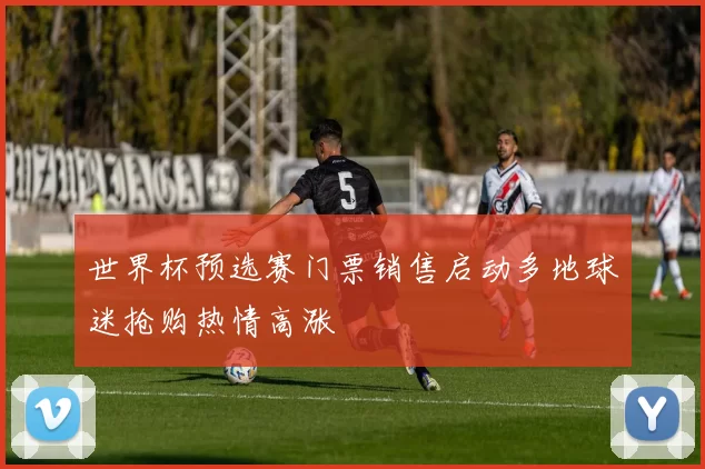 世界杯预选赛门票销售启动多地球迷抢购热情高涨