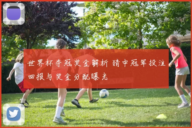世界杯夺冠奖金解析 猜中冠军投注回报与奖金分配曝光