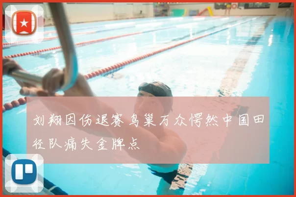 刘翔因伤退赛鸟巢万众愕然中国田径队痛失金牌点